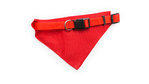 Collier Bandana Roco BLEU