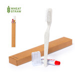 Set Dental Kit.