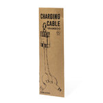 Câble de Charge Desak ARGENT