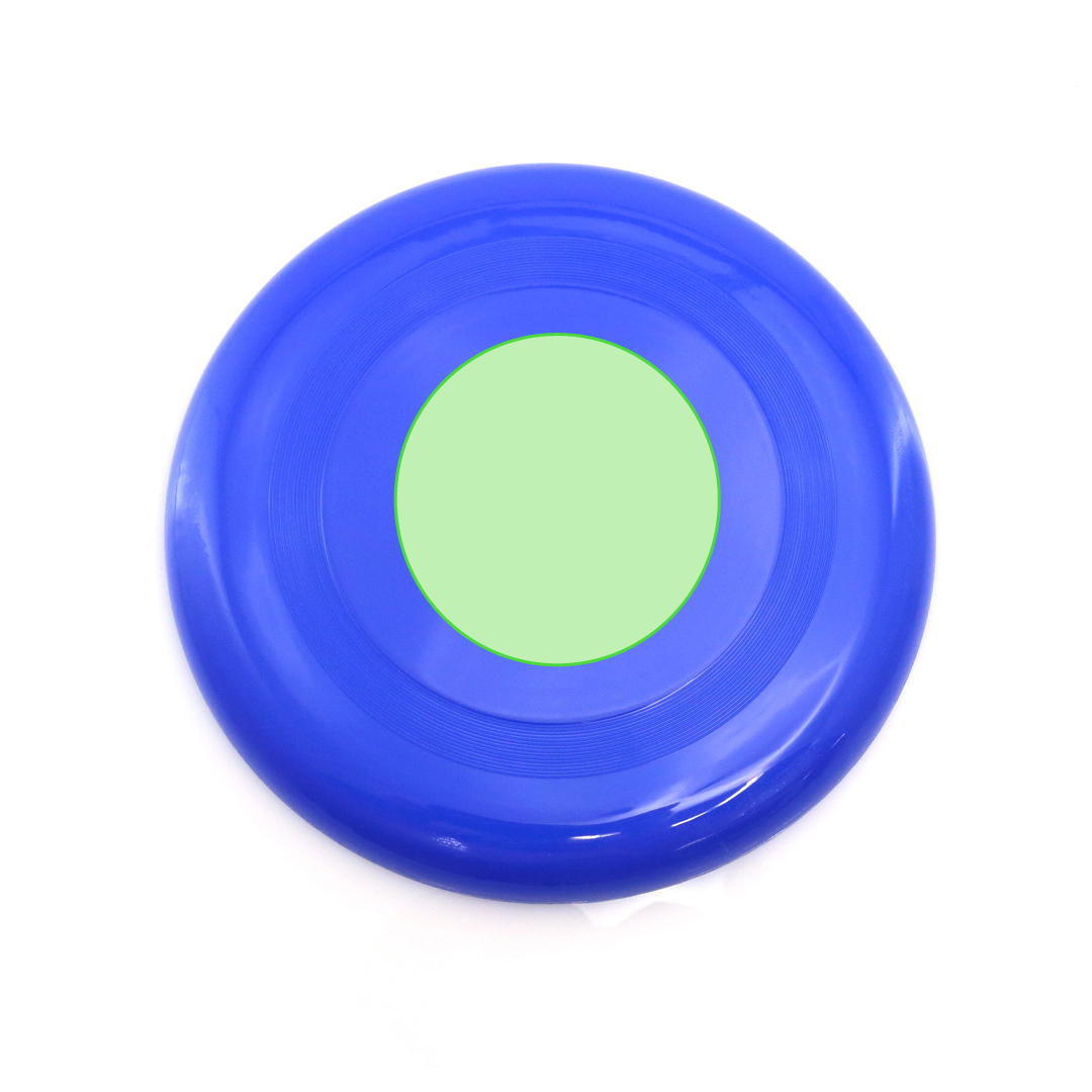 Frisbee Girox