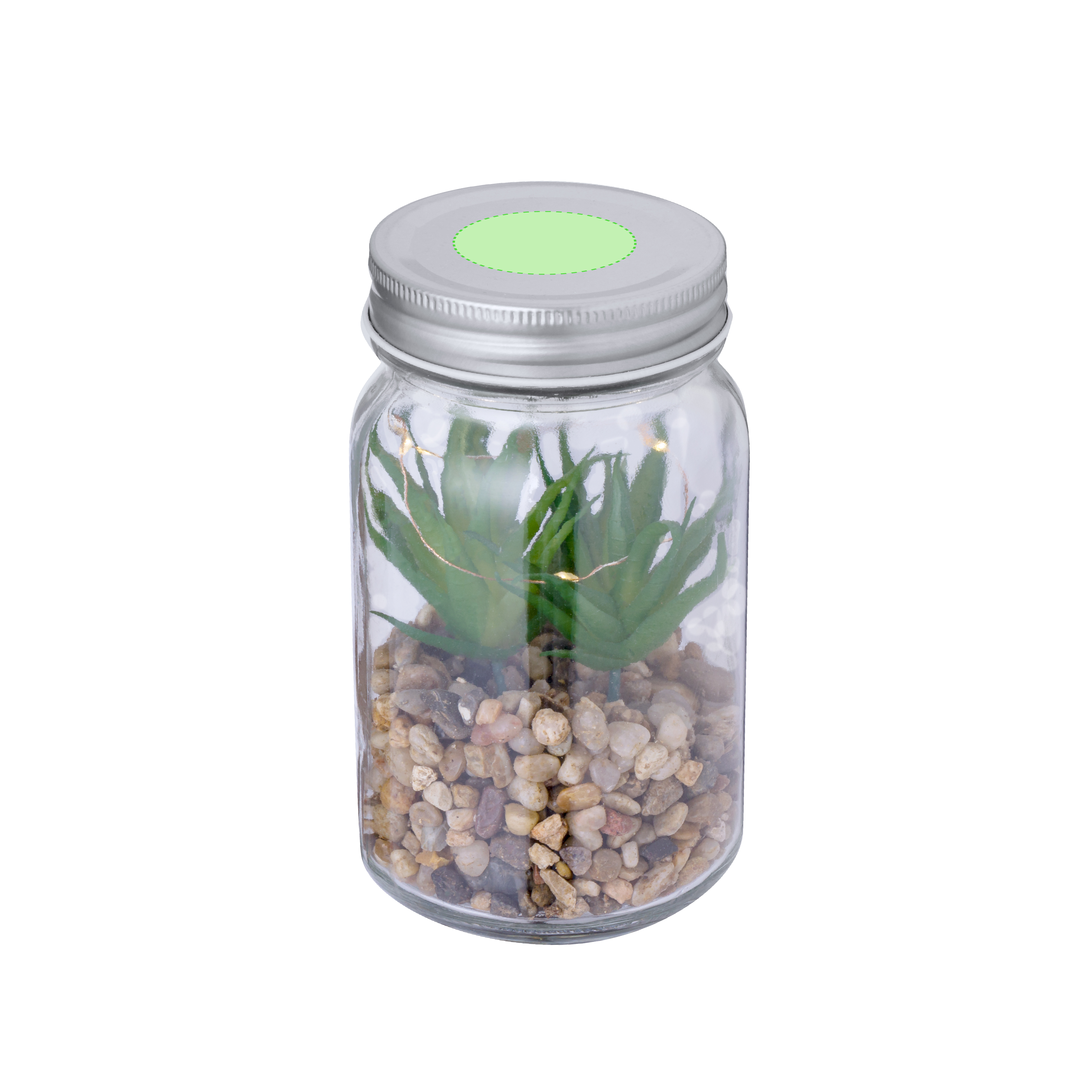 Plante Décorative Kyala