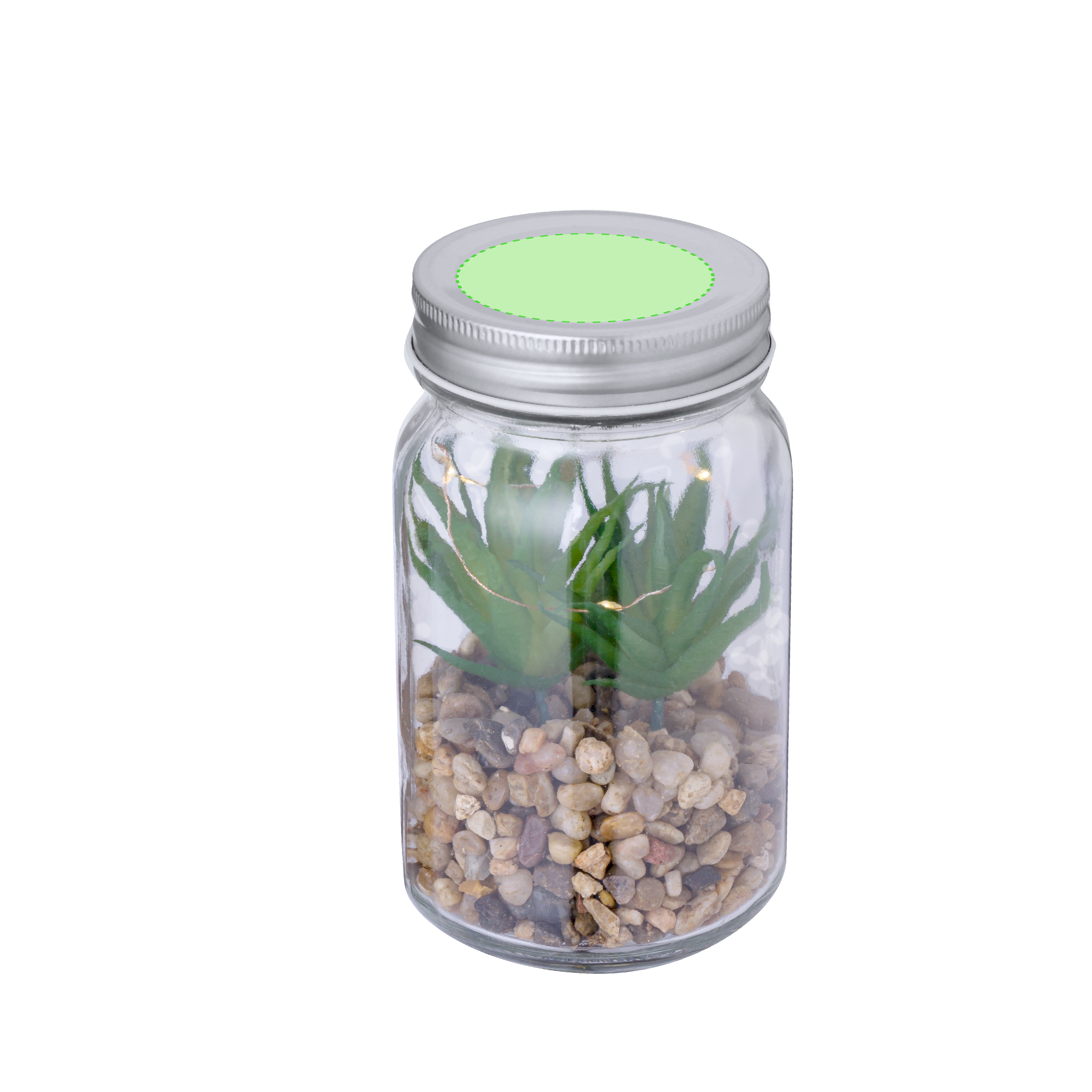 Plante Décorative Kyala