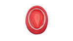 Chapeau Enfant Tolvex FUCHSIA