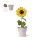 Pot de Fleurs Tumil.