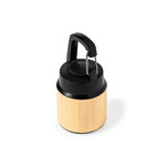 Lampe Gus.