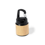 Lampe Gus.
