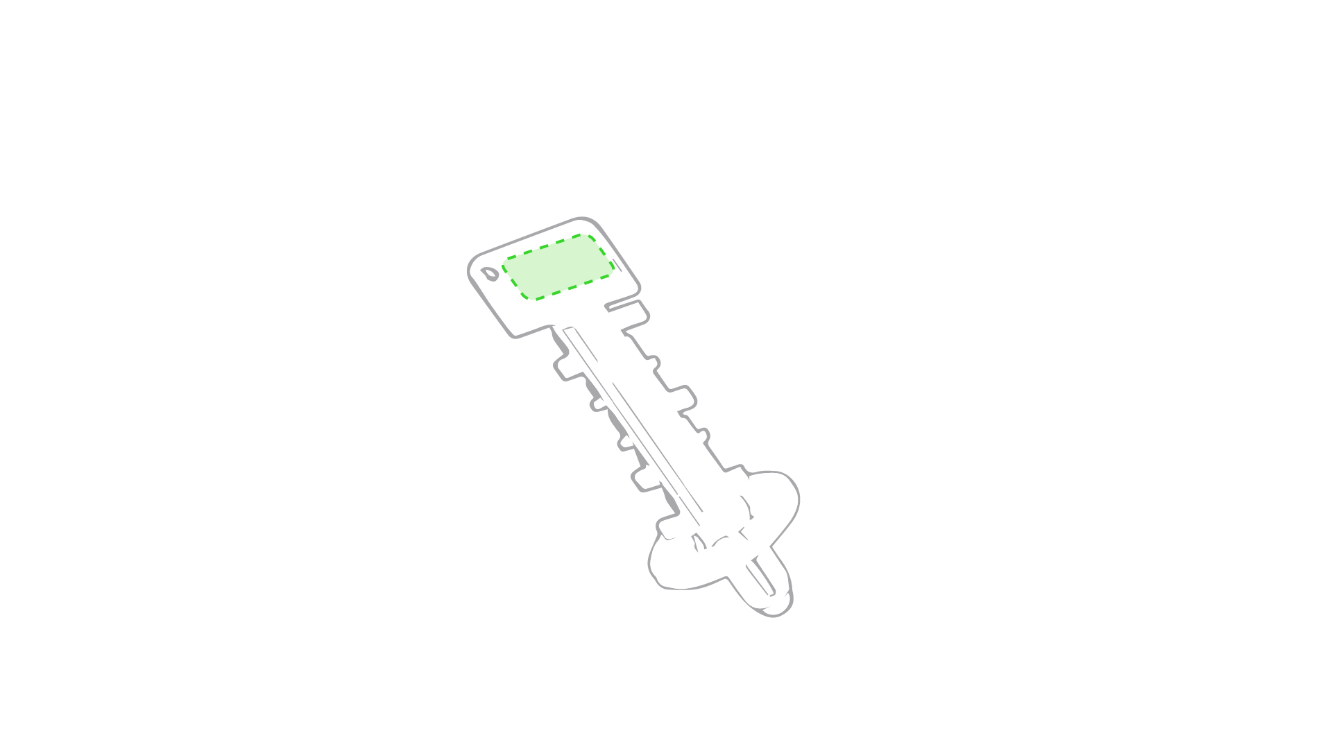 Stylet Hability