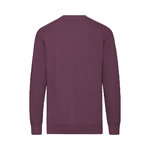 Sweat-Shirt Adulte Lightweight Set-In Sweat BLEU