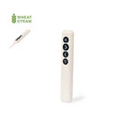 Pointeur Laser Présentateur Lesi NATURELLE