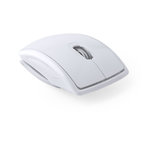 Souris Lenbal BLEU