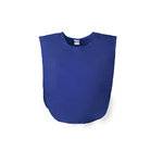 Plastron Wiki BLEU