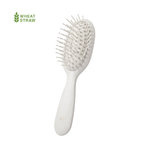 Brosse Dantel NATURELLE