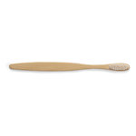 Brosse à Dents Lencix.