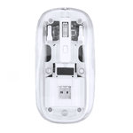 Souris Mirabek BLANC