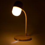 Lampe Multifonction Lars.