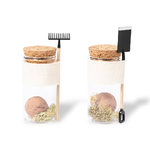 Bonbon Graines Winsu TYPE A