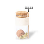 Bonbon Graines Winsu TYPE A