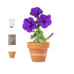 Pot de Fleurs Soltax.