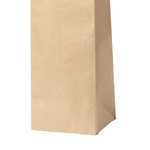 Sac Ragnar.