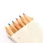 Boîte Crayons Ensemencé Delar.