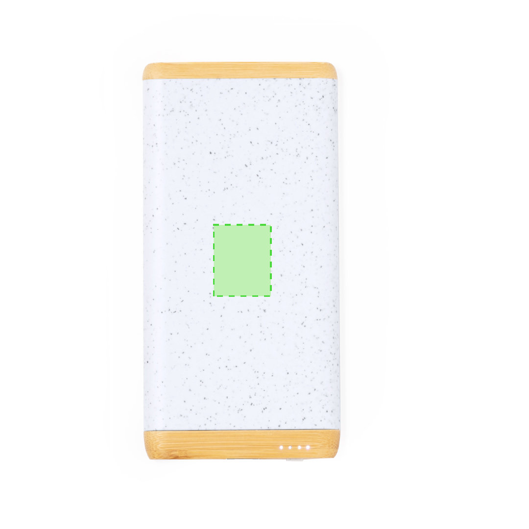 Power Bank Coquin