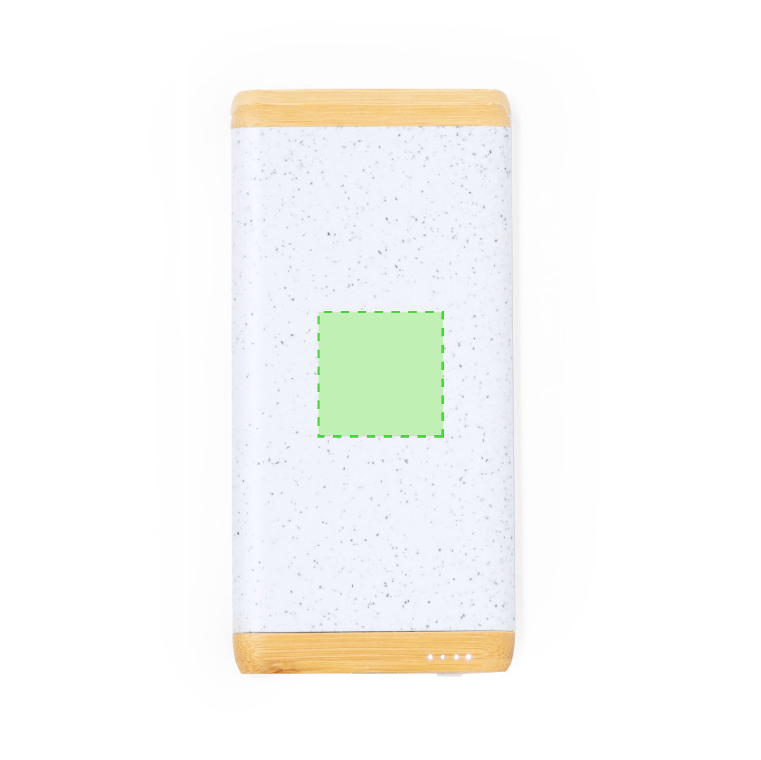 Power Bank Coquin