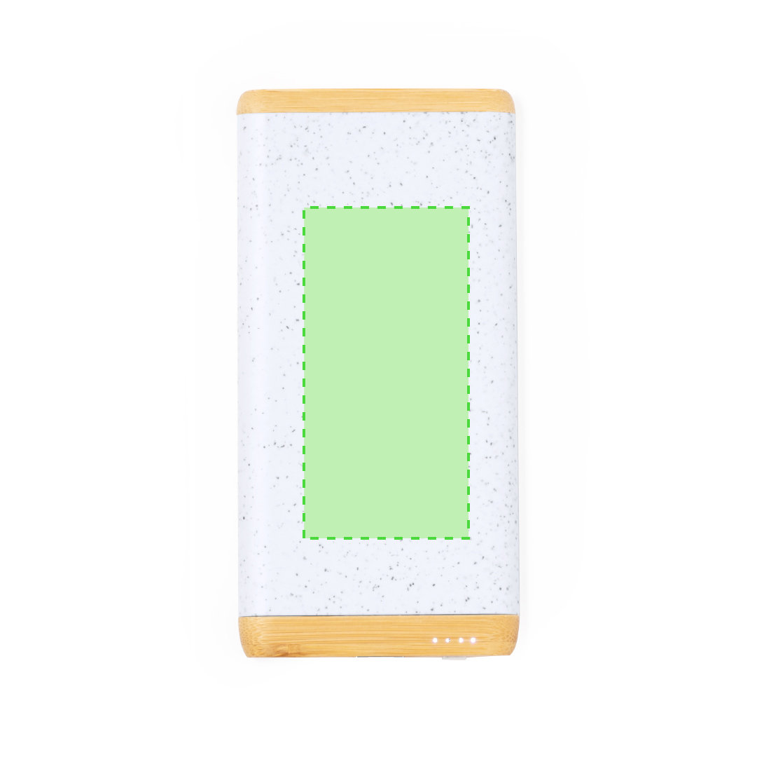 Power Bank Coquin