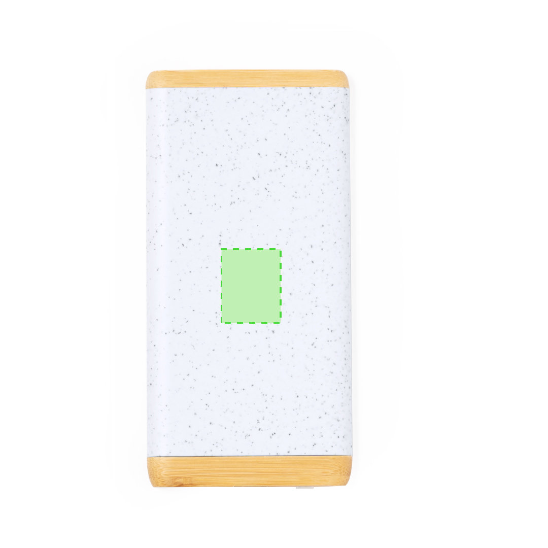 Power Bank Coquin