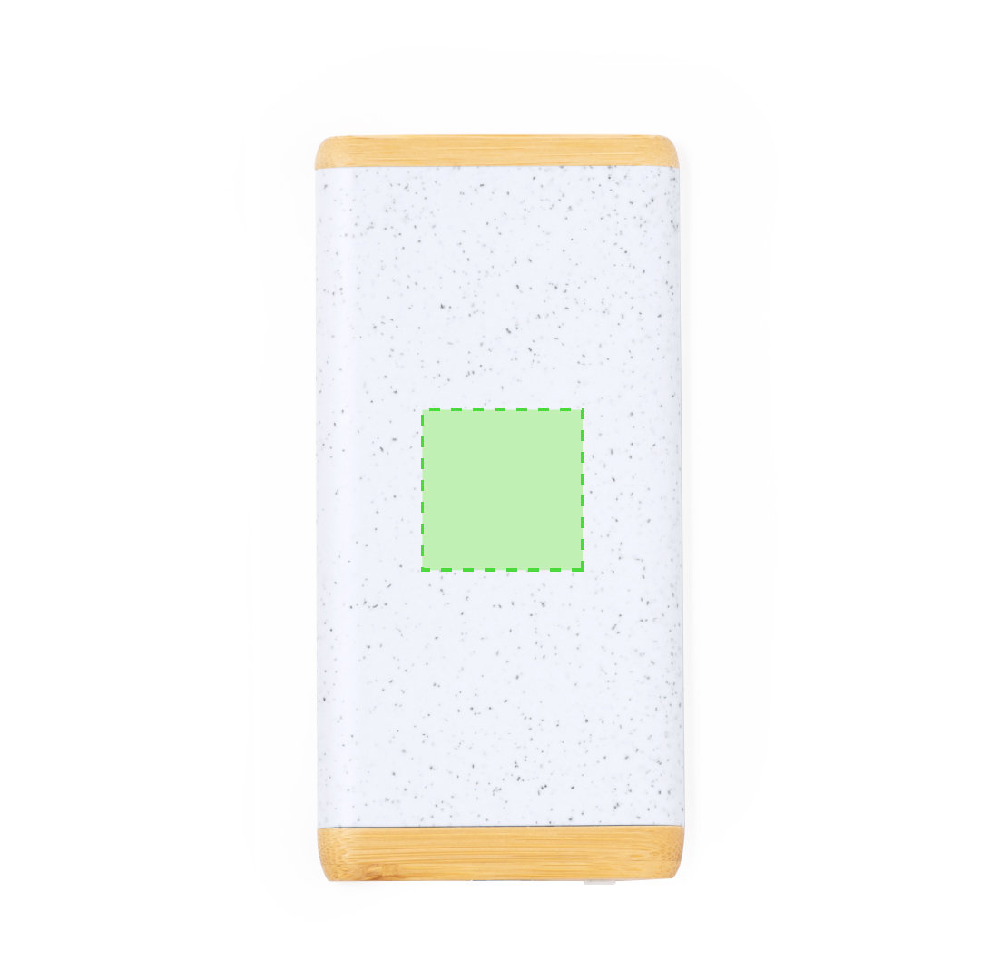 Power Bank Coquin