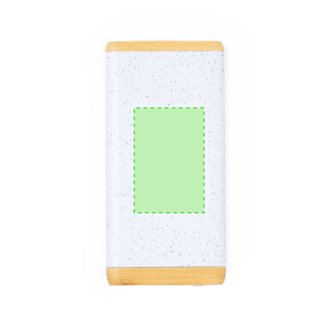 Power Bank Coquin