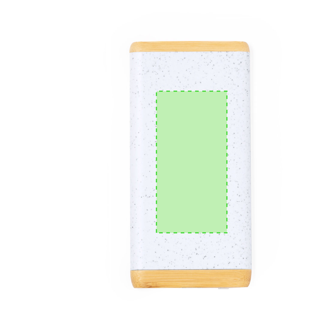 Power Bank Coquin