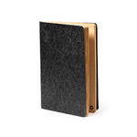 Cahier Rayish.