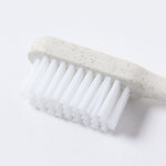 Brosse à Dents Duncan NATURELLE