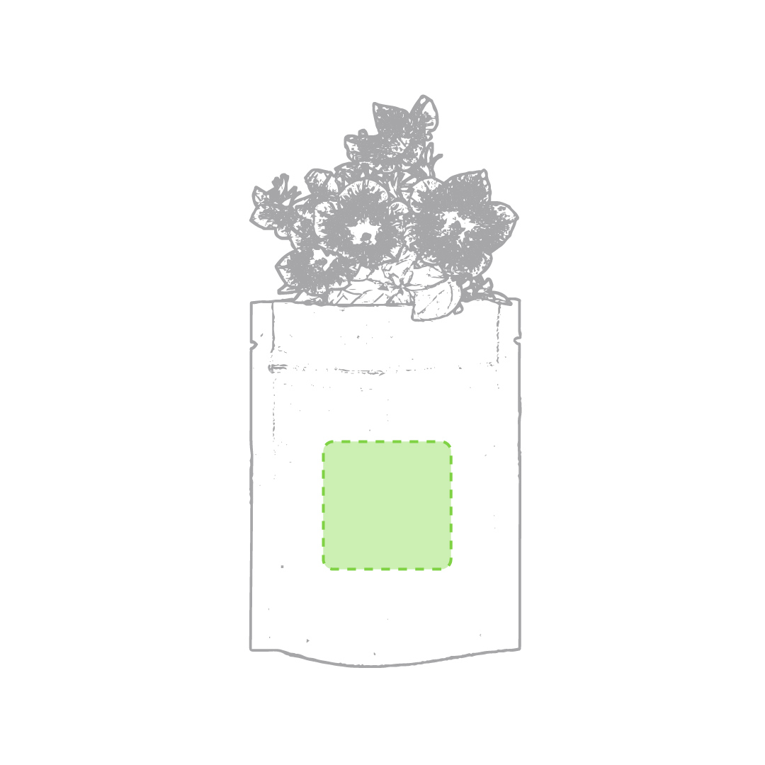 Pot de Fleurs Sober