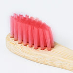 Brosse à Dents Becu JAUNE
