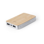 Power Bank Newin ARGENT