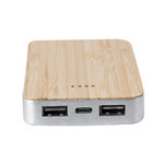Power Bank Newin ARGENT