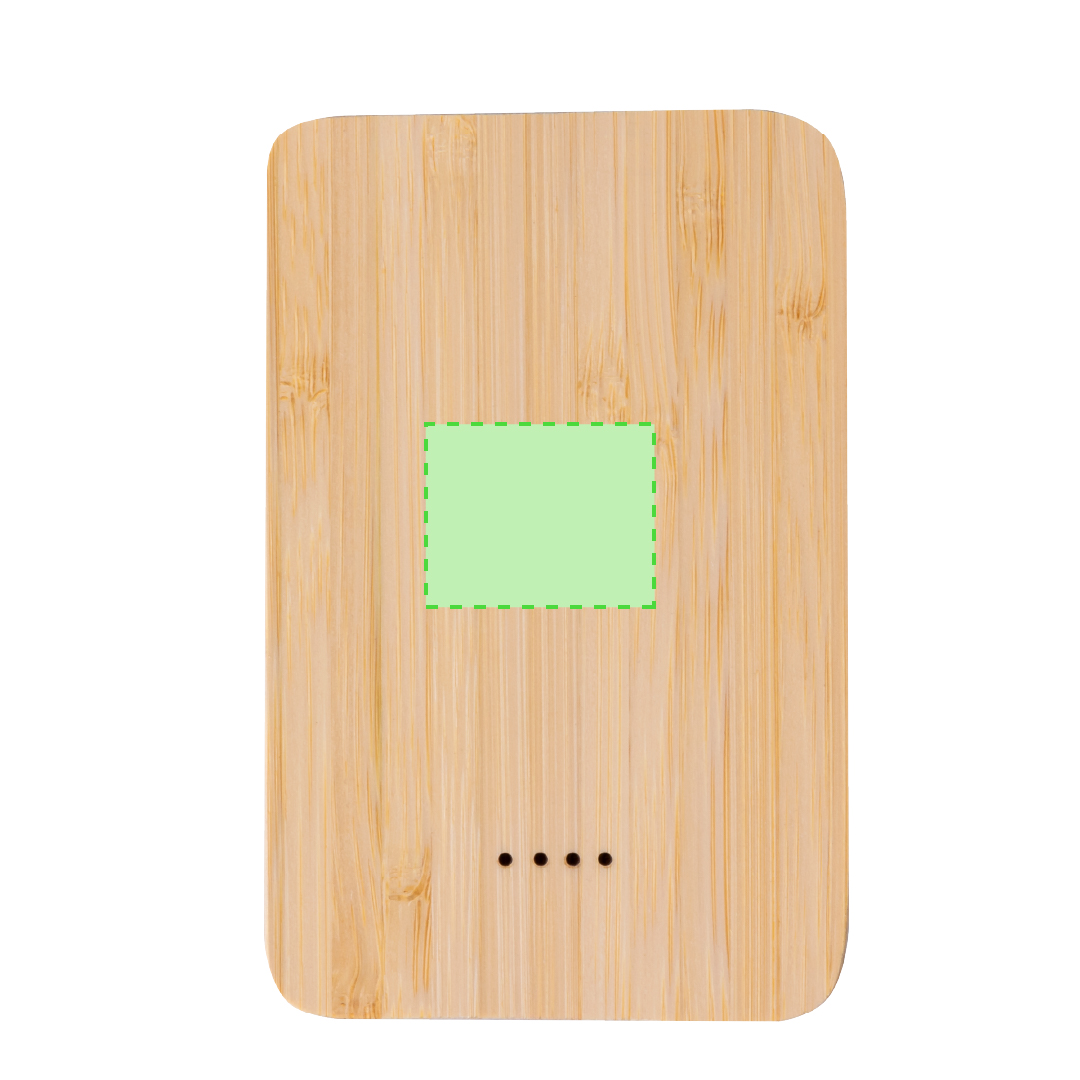 Power Bank Newin