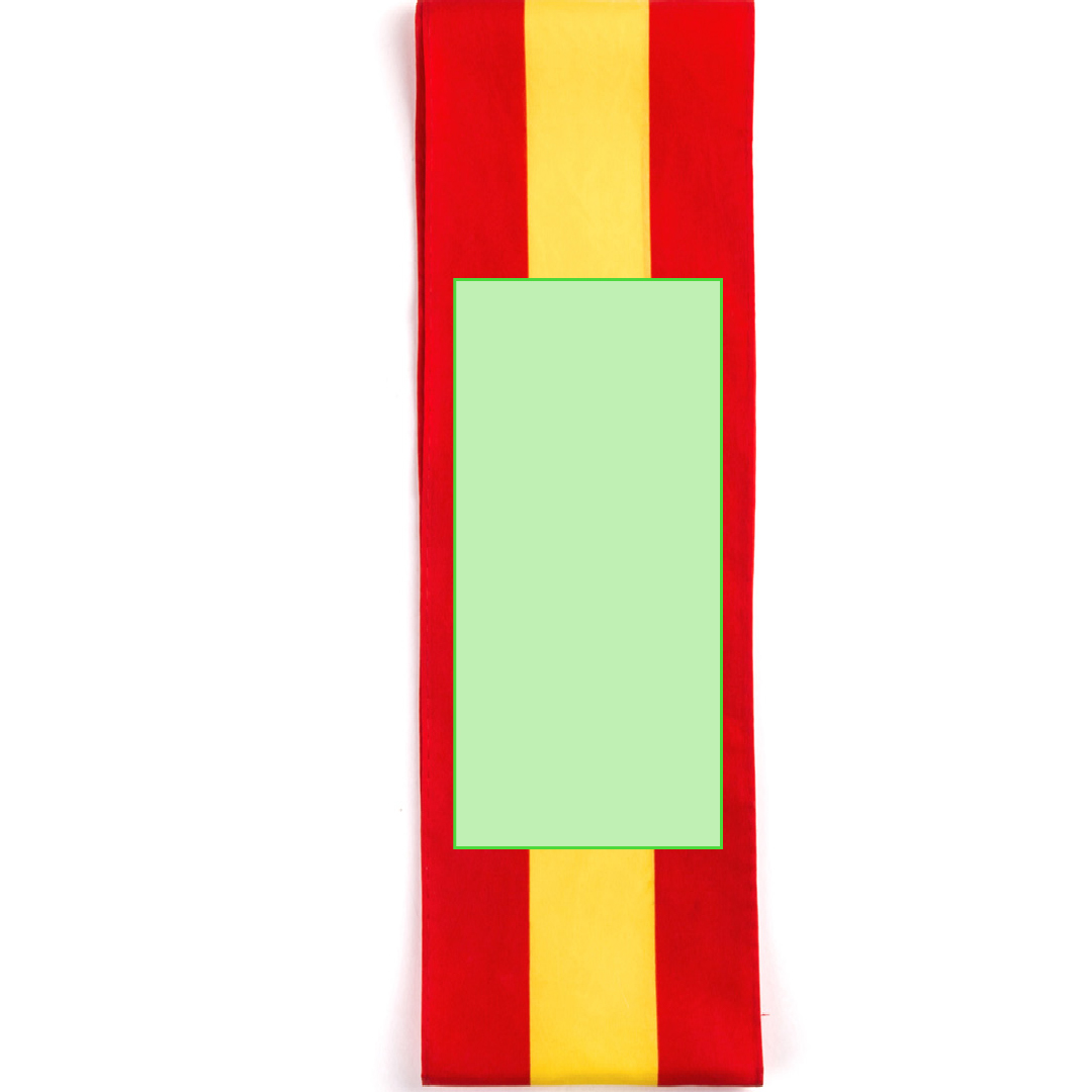 Écharpe Lesport