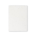 Bloc Notes Ensemencé Zomek BLANC