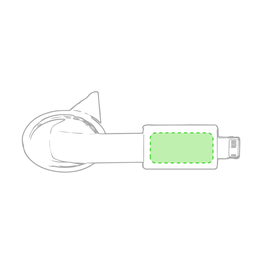 Câble de Charge Holnier
