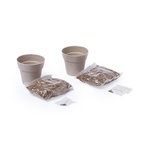 Set Pot de Fleurs Nertel.