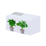 Set Pot de Fleurs Nertel.