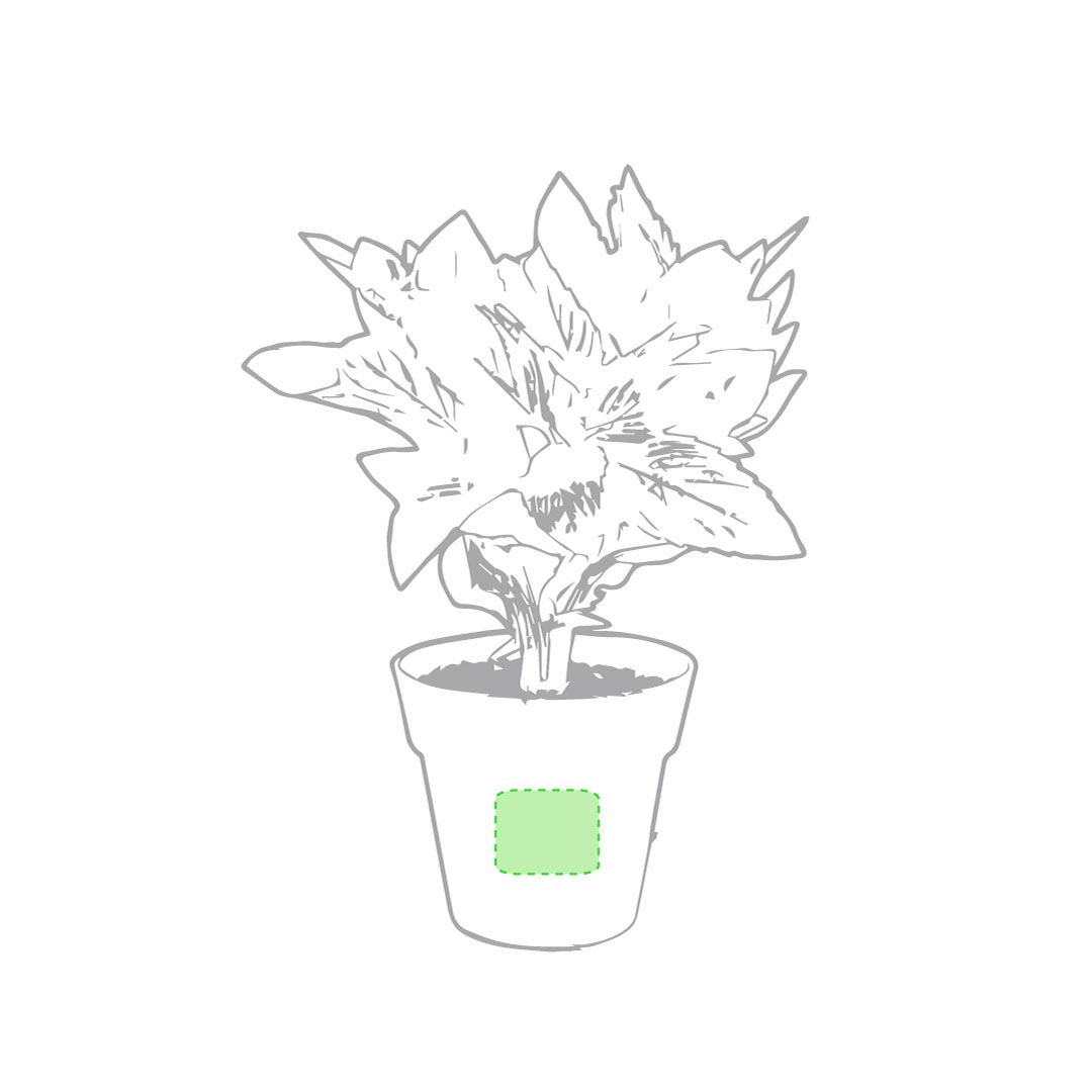 Set Pot de Fleurs Nertel