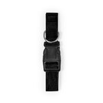 Collier Mastif BLEU