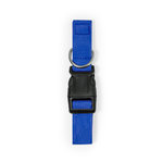 Collier Mastif BLEU