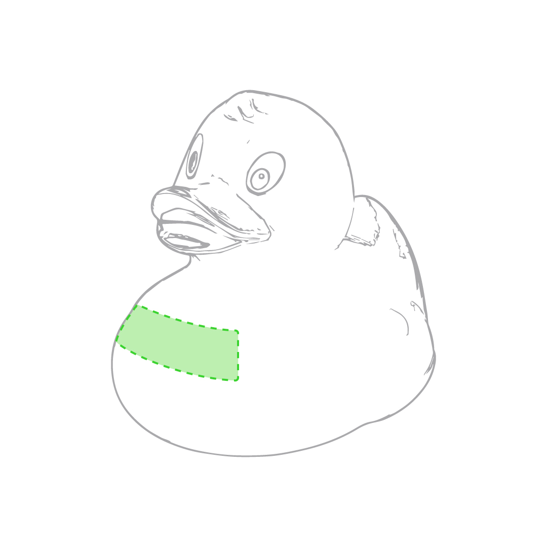 Canard Koldy