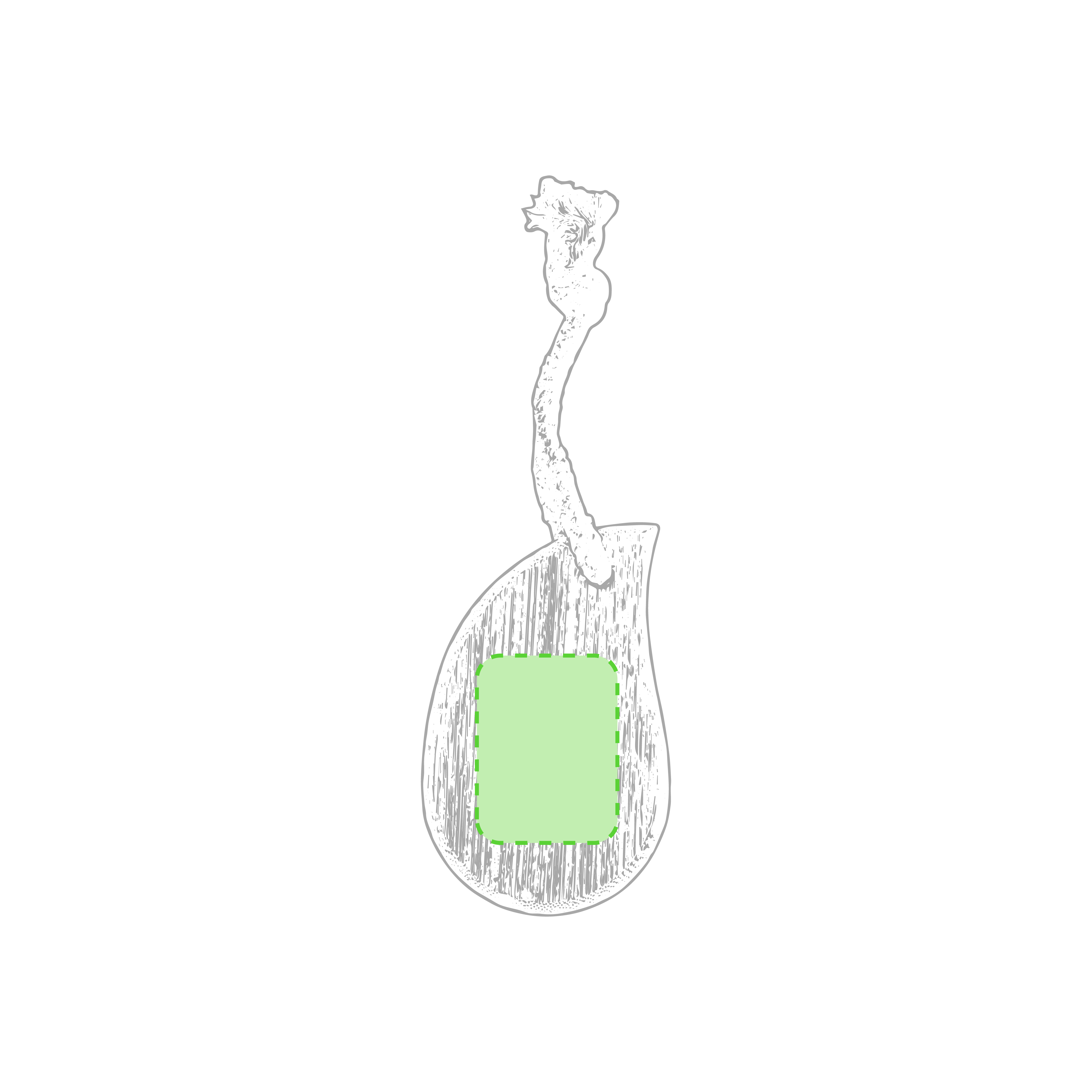 Brosse Nettoyante du Visage Tospin