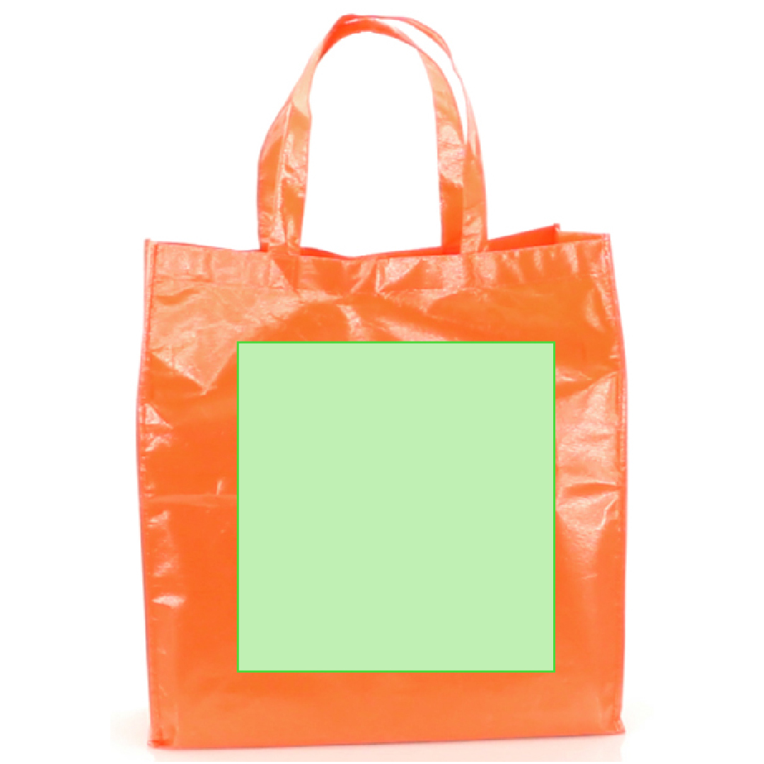 Sac Divia