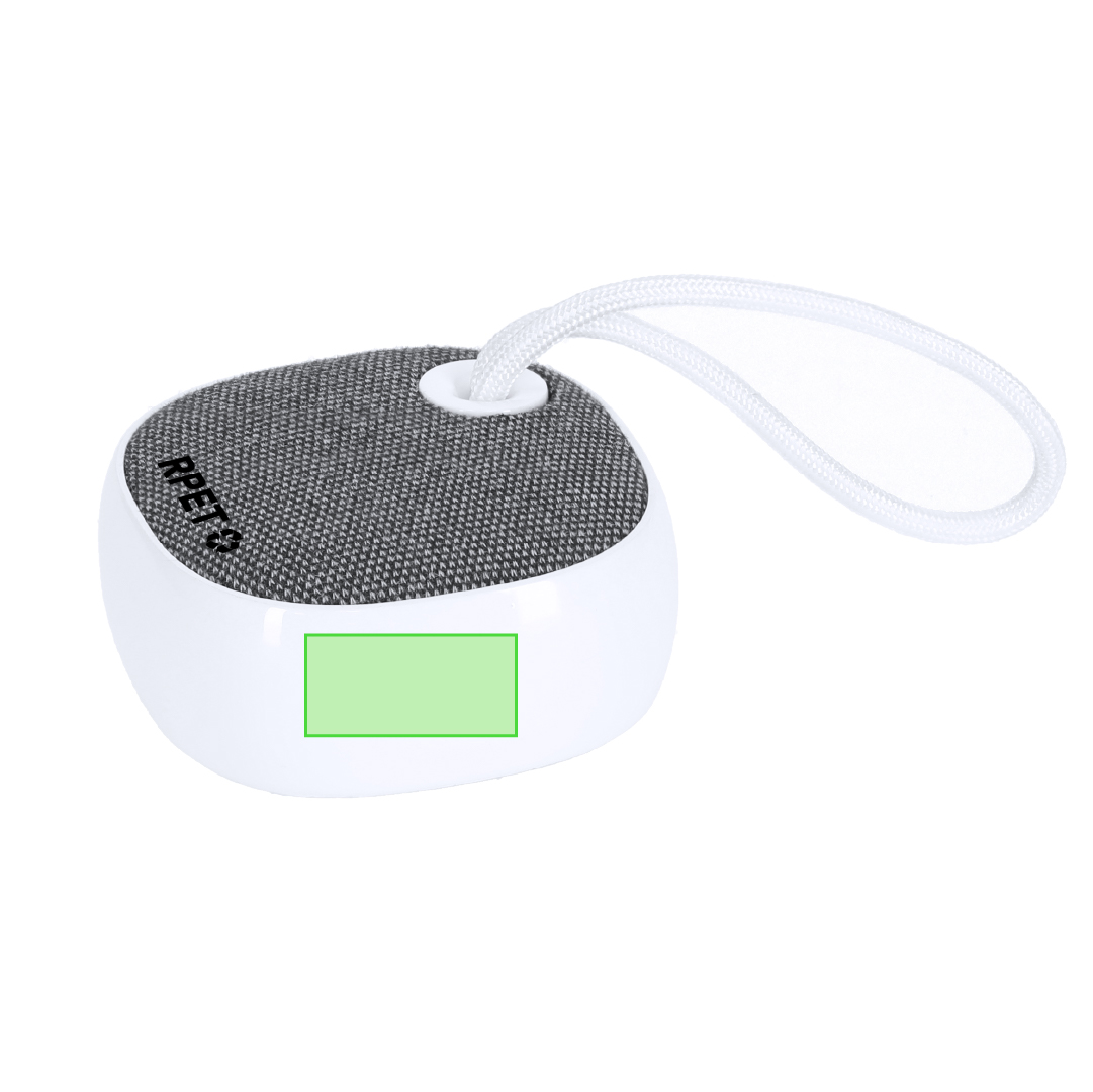 Haut-Parleur Kompec RCS